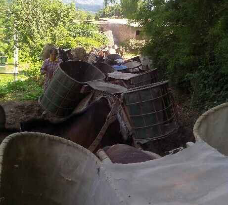 騾馬運(yùn)輸隊(duì)